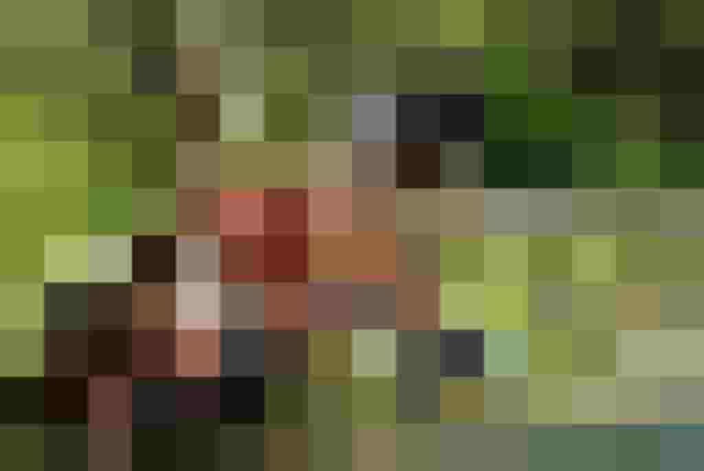 Children and an adult searching for gold by the river, surrounded by greenery and nature.