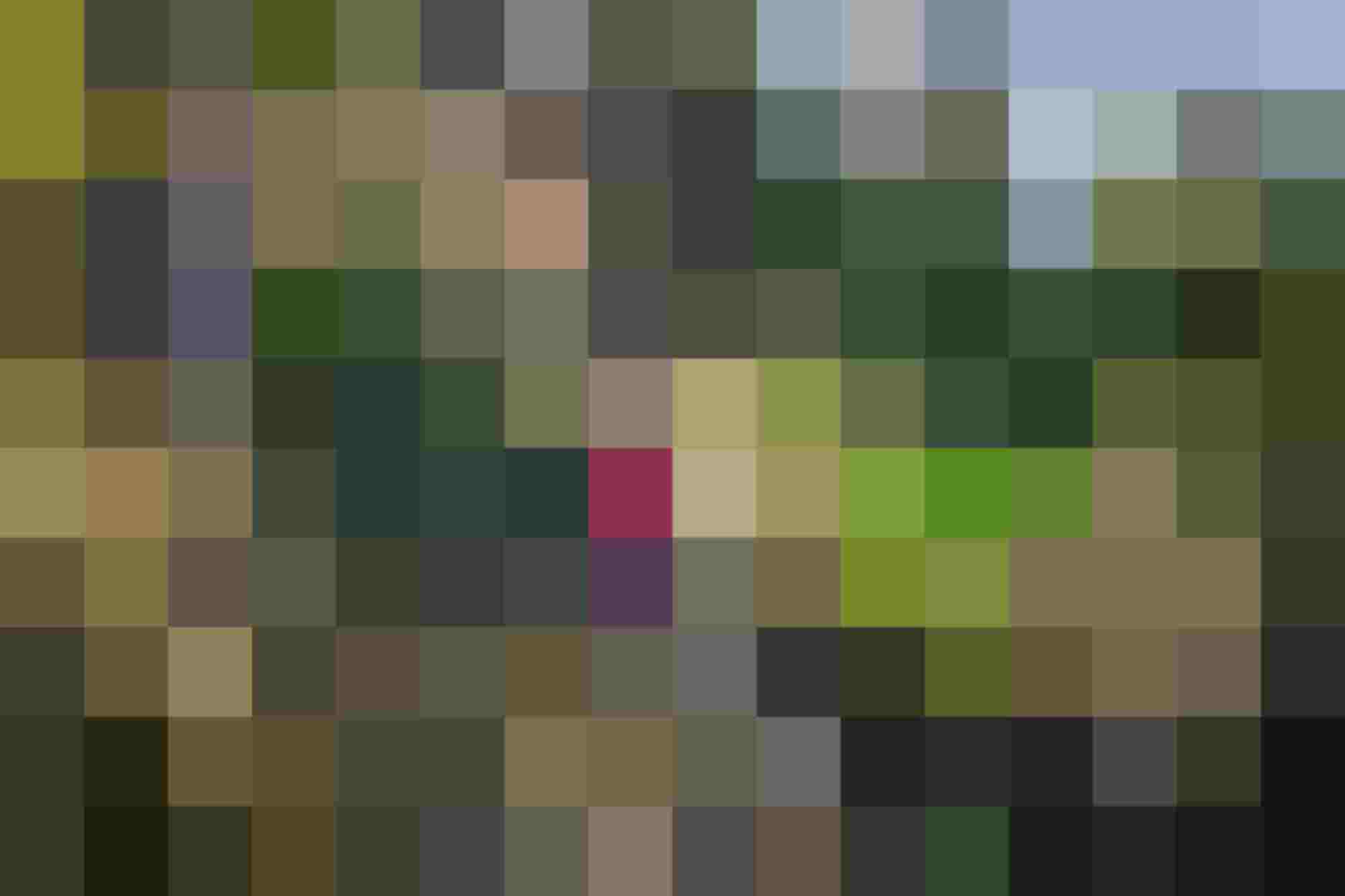 Wandelaars bij de ingang van de Zirbenweg bij Dorfgastein tijdens een familievriendelijke actieve vakantie