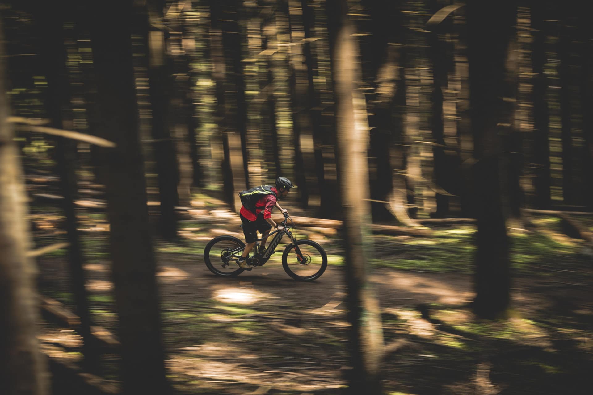 Mountainbiker fährt schnell durch einen bewaldeten Trail in der Aktivregion Gastein.