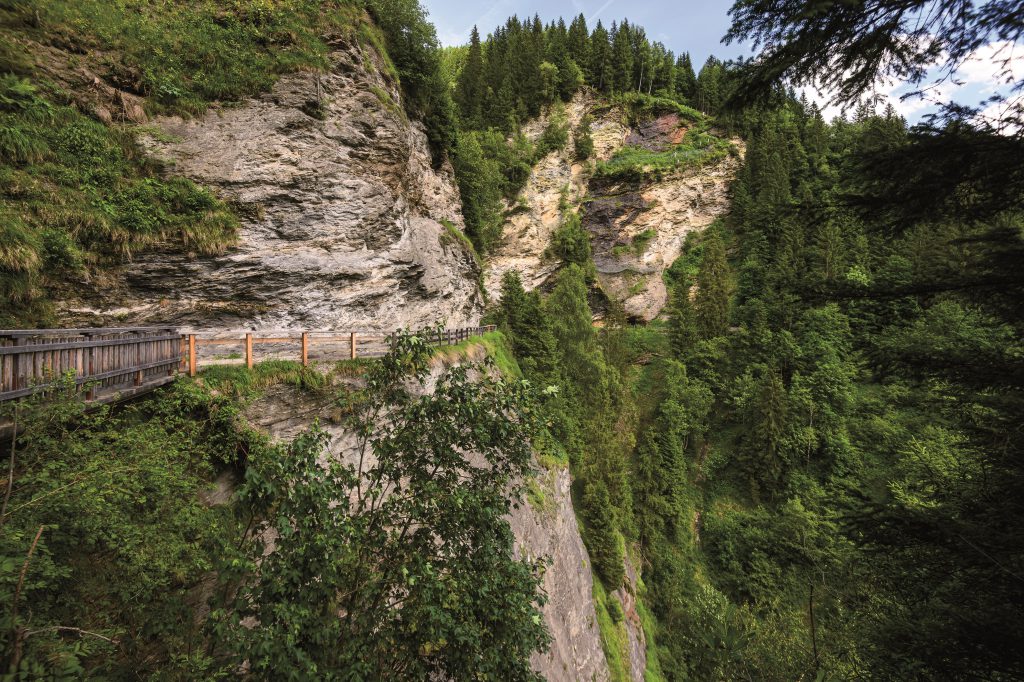 Holzsteg an steiler Felswand im grünen Gasteinertal mit Nadelwald