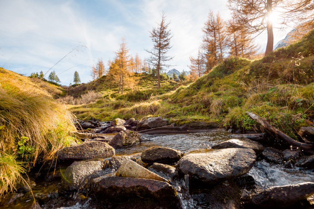 Bach mit Steinen und herbstlichen Bäumen in den Bergen Gasteinertal Naturerlebnis