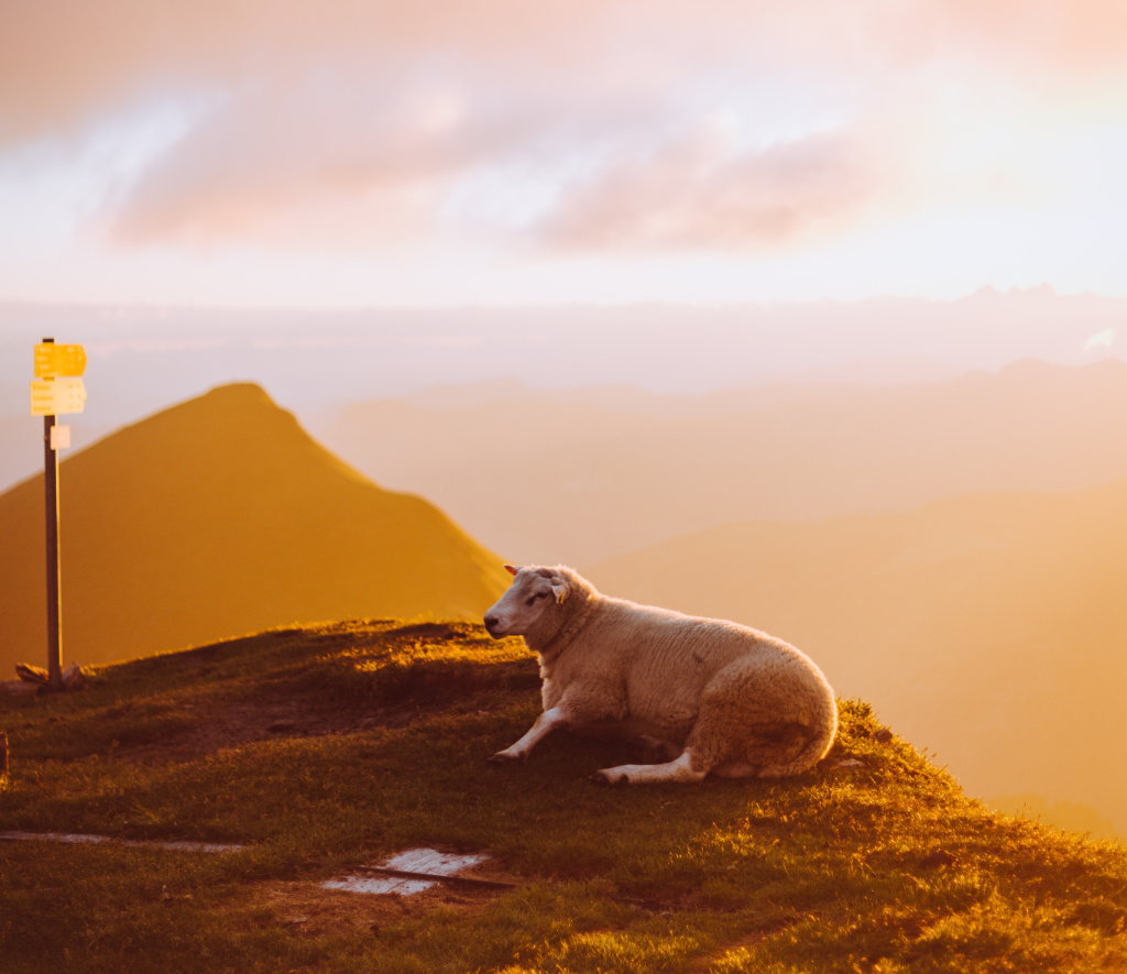 Dorfgastein Magische Abendauffahrt zur Sonnenwende