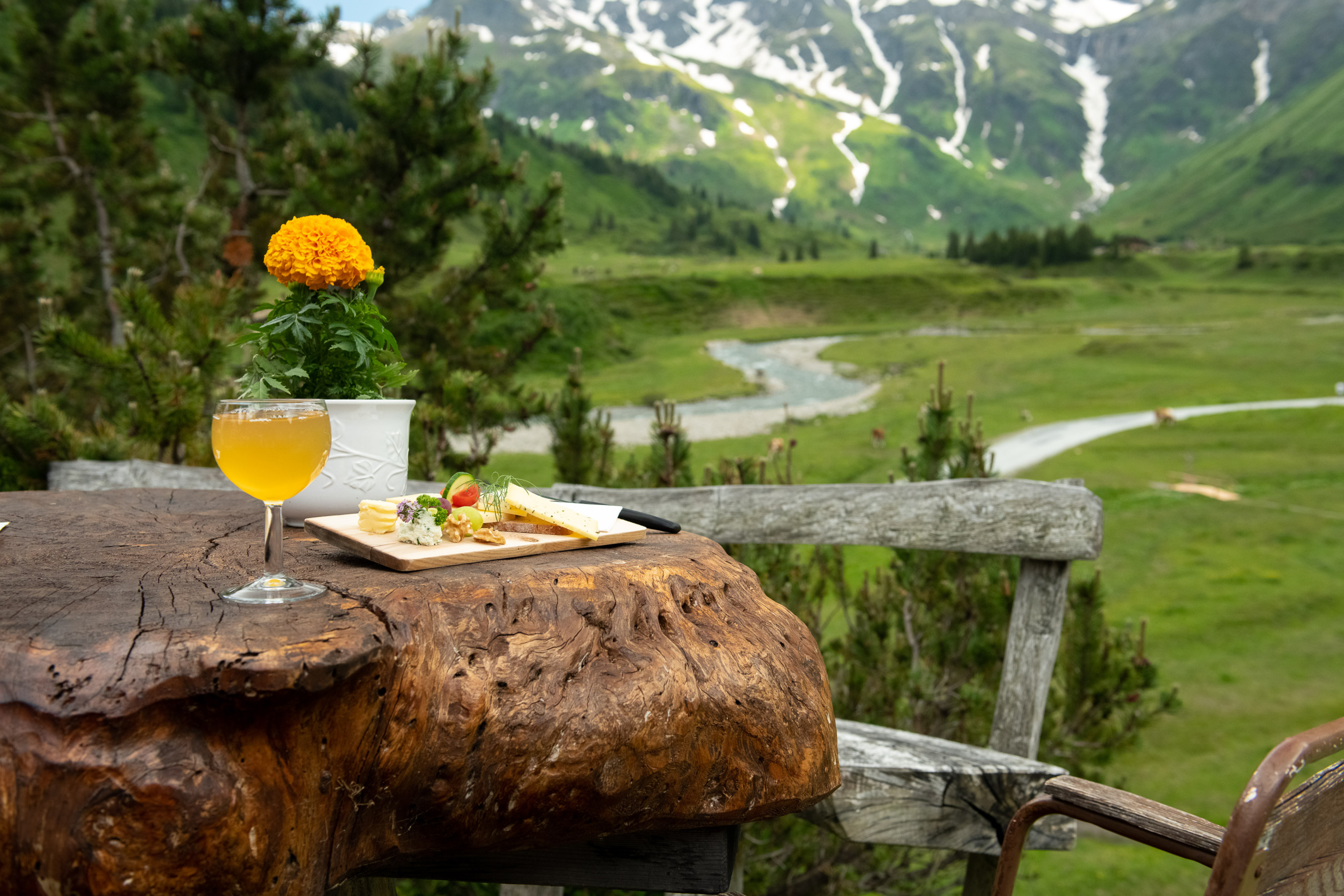 Almjause mit gelbem Getränk und orangefarbener Blume vor grüner Berglandschaft mit Schneefeldern